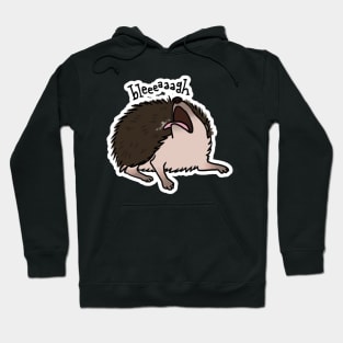 Hedgehog Anointing - Classic Coloration Hoodie